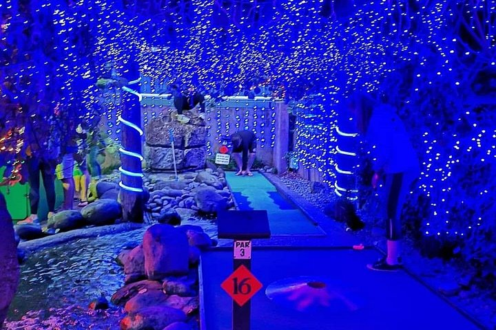 Mini Golf with Rabbits in Rotorua - Photo 1 of 6